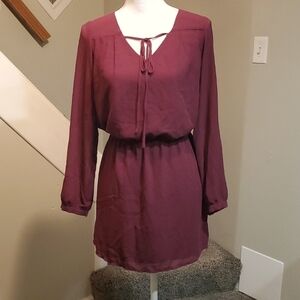 Naked Zebra Burgundy Long Sleeved Dress with Built In Slip Size Small